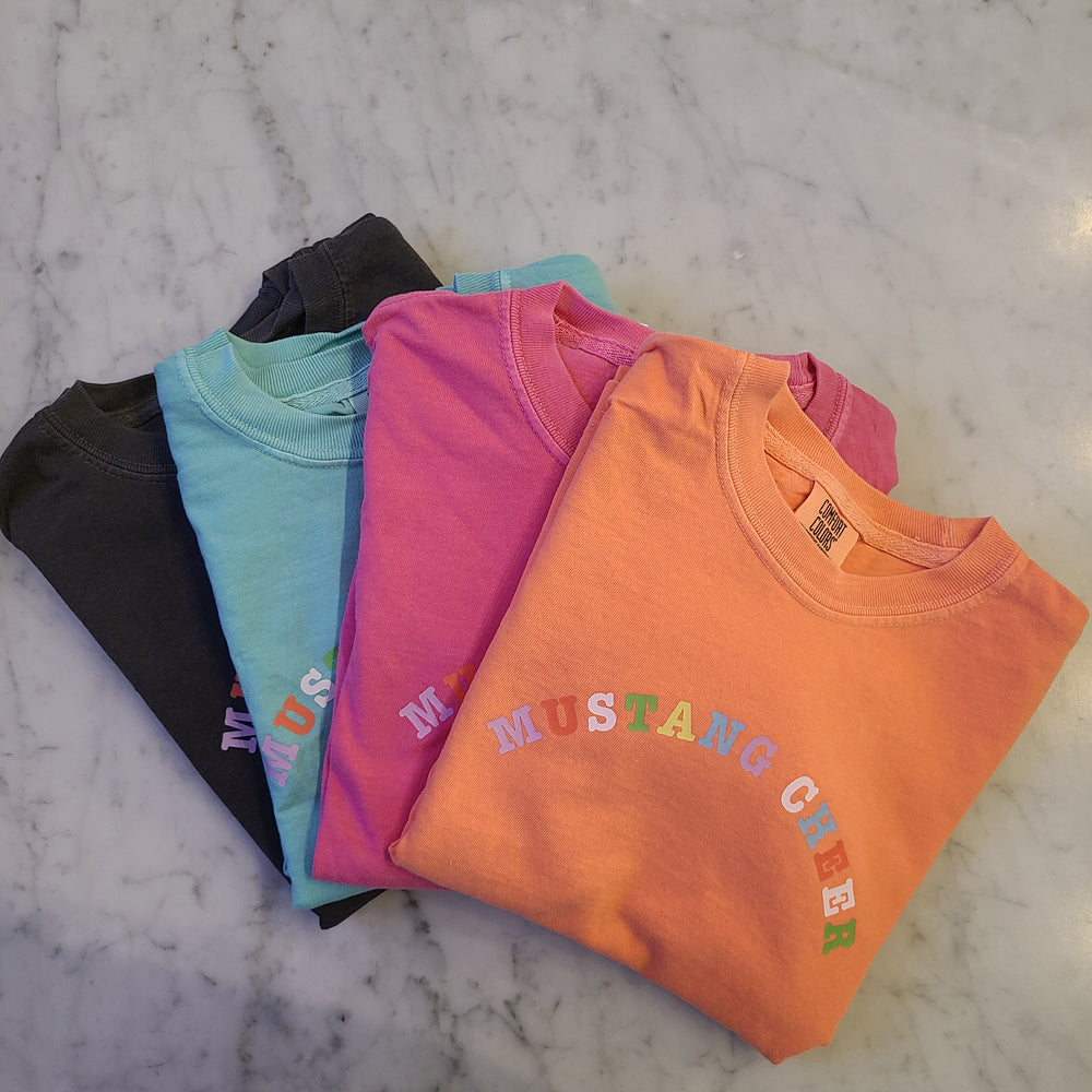 Mustang Cheer Rainbow Tee - Youth