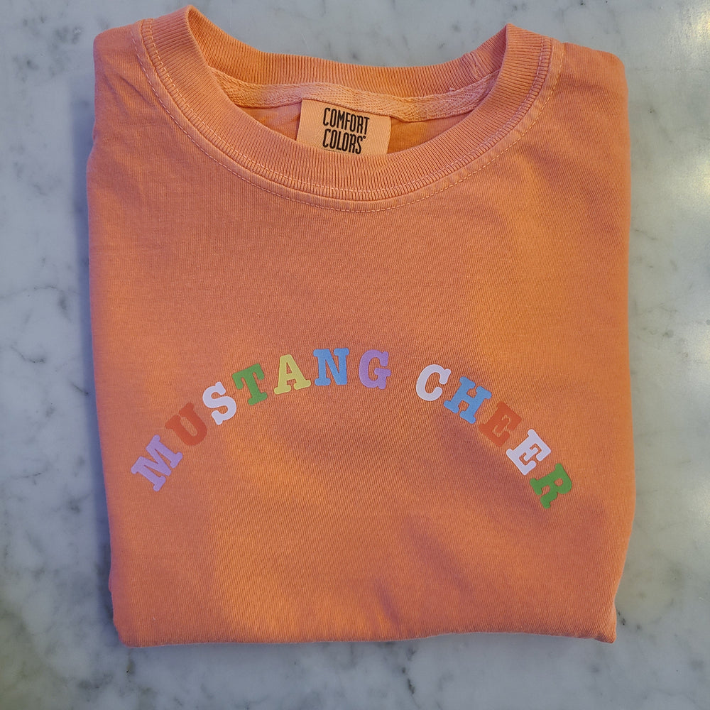 Mustang Cheer Rainbow Tee - Youth