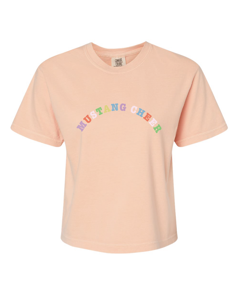 Mustang Cheer Rainbow Crop