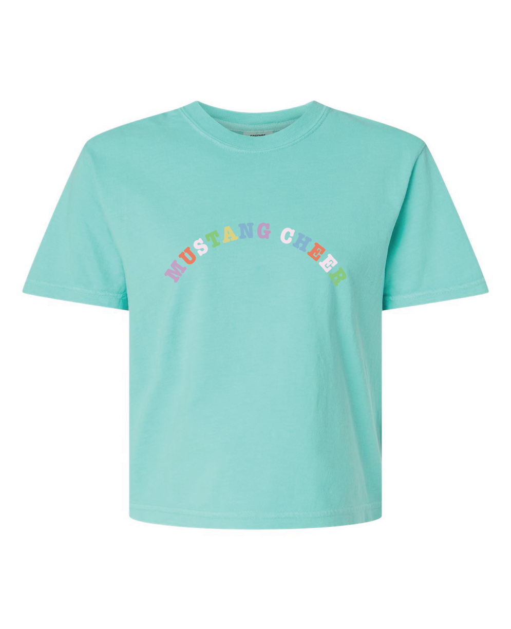 Mustang Cheer Rainbow Crop