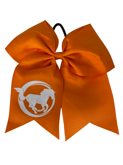 Colorful Practice Bows