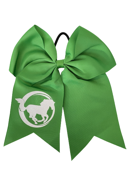 Colorful Practice Bows