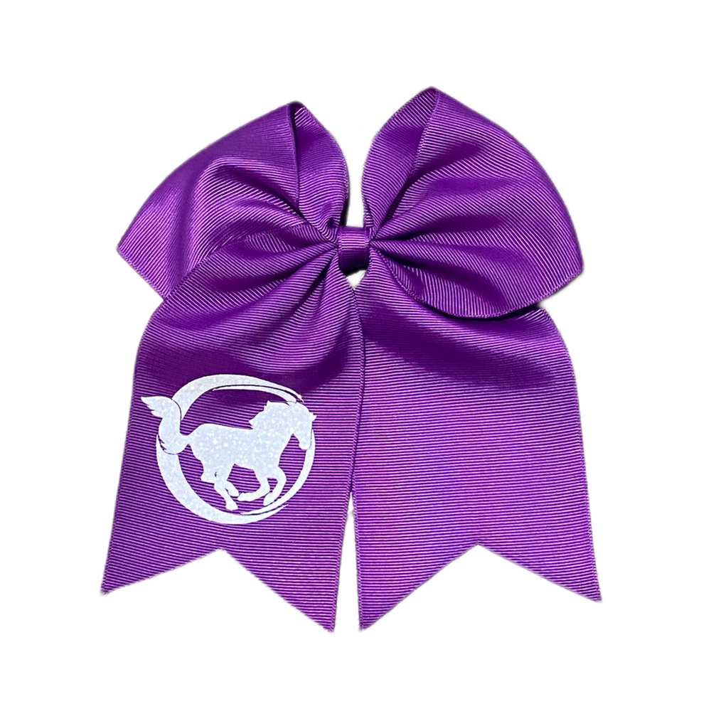 Colorful Practice Bows