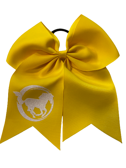 Colorful Practice Bows