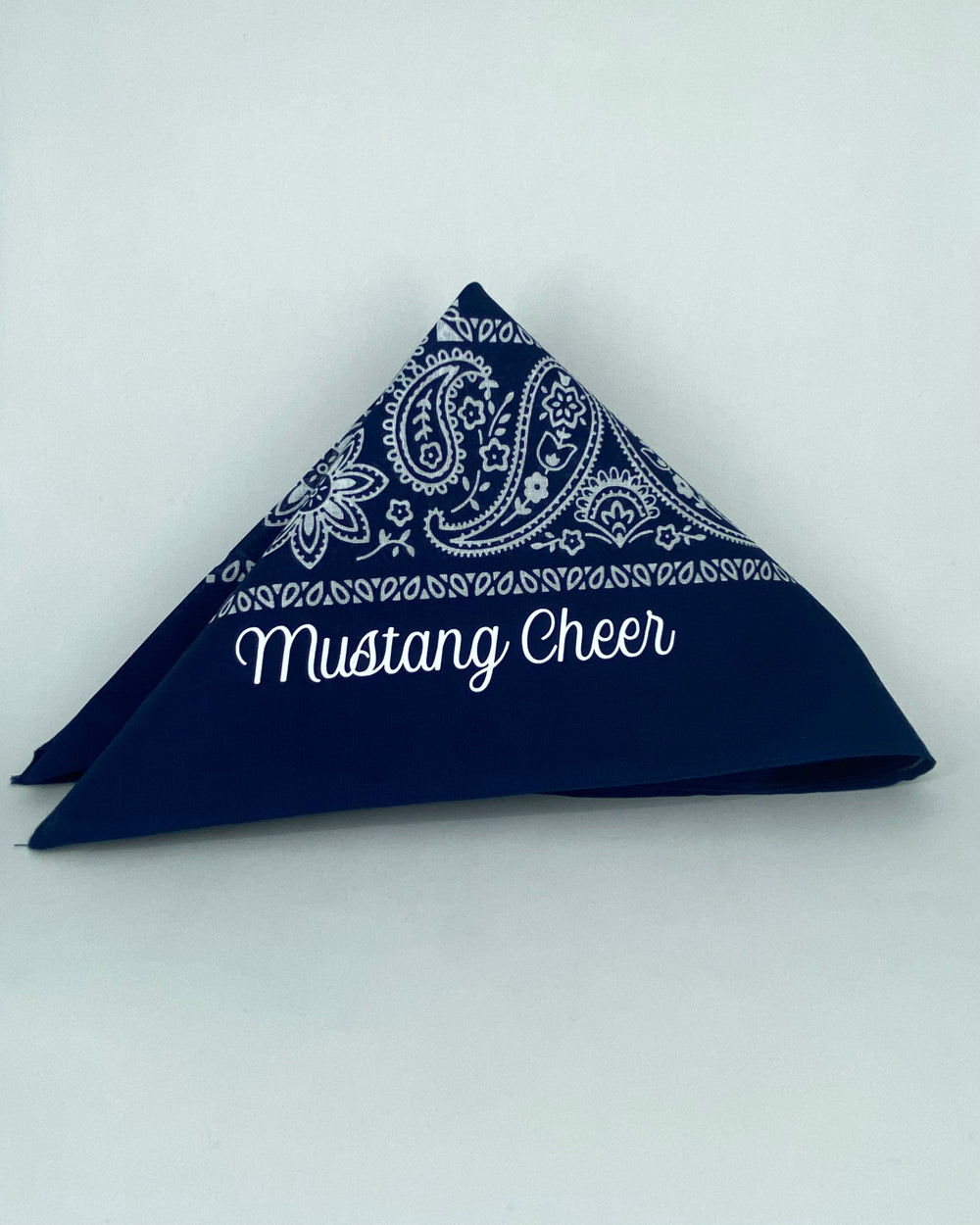 Saddle Up Bandana