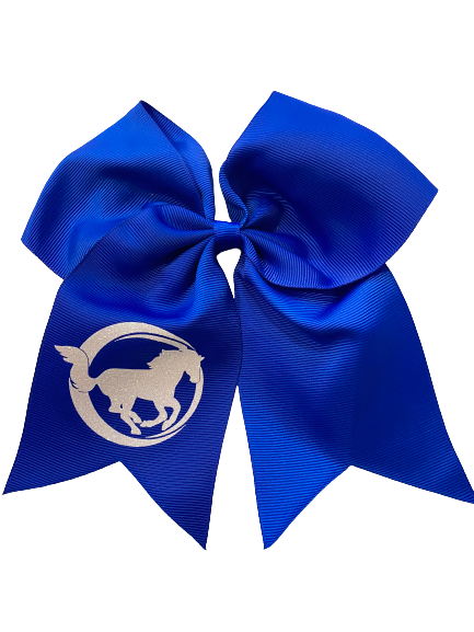 Colorful Practice Bows